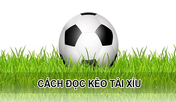 Giải đáp thắc mắc cách đọc kèo bóng đá chuẩn xác nhất