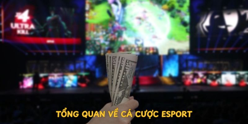 tong-quan-ve-ca-cuoc-esport